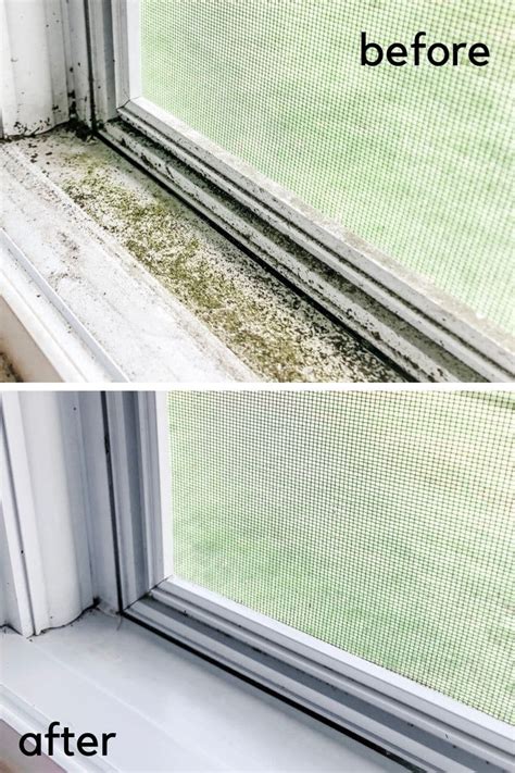 The Hidden Dangers of Neglecting Your Magic Window Track Cleaning